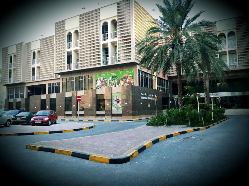 ORIENTAL PALACE — фото 12