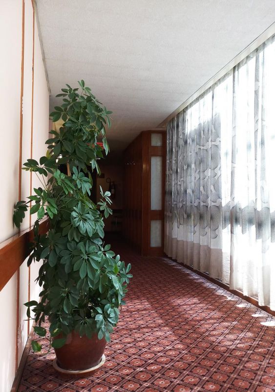ORIENTAL PALACE — фото 17