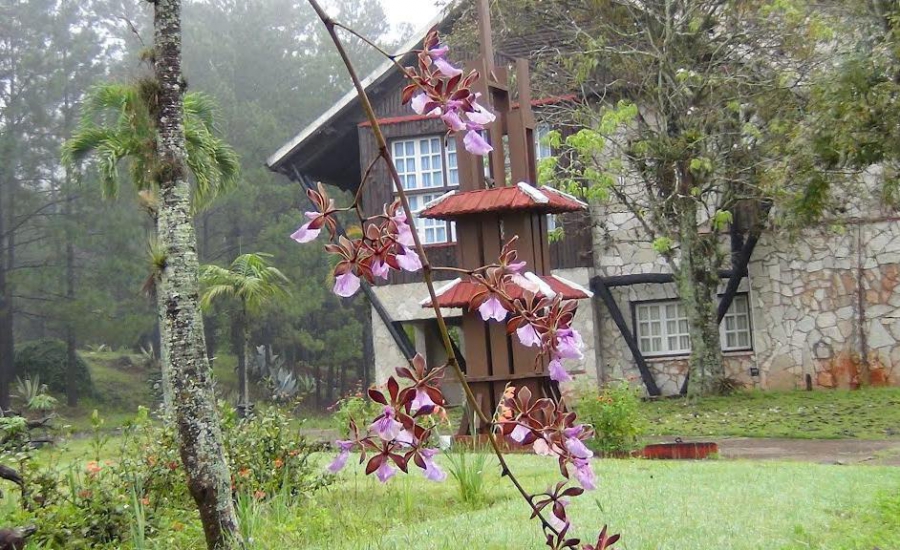 PINARES DE MAYARI — фото 13