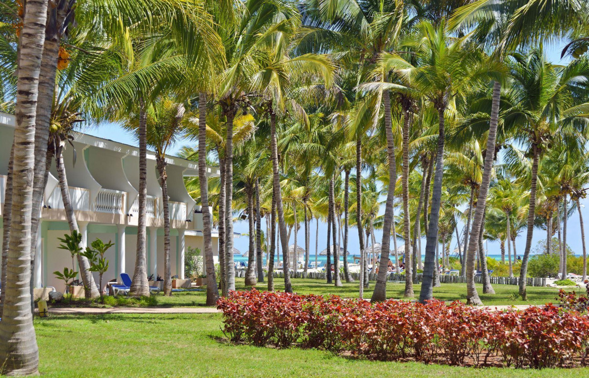 GRAN CARIBE CAMINO DEL MAR (EX.MELIA CAYO GUILLERMO) — фото 8