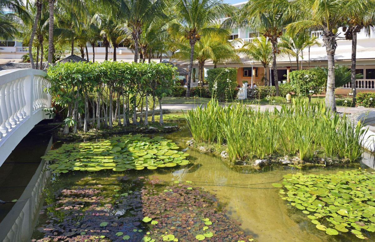 GRAN CARIBE CAMINO DEL MAR (EX.MELIA CAYO GUILLERMO) — фото 13