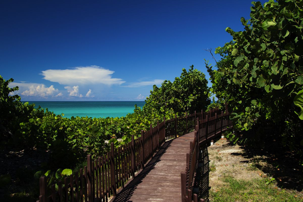 GRAN MUTHU CAYO SANTA MARIA (EX. BE LIVE COLLECTION CAYO SANTA MARIA) — фото 14