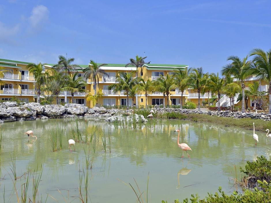 TRYP CAYO COCO — фото 18