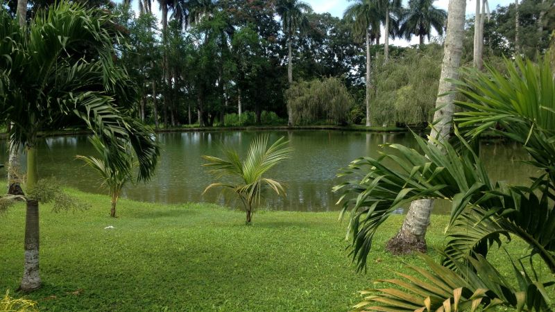 VILLA ISLAZUL SAN JOSE DEL LAGO — фото 6