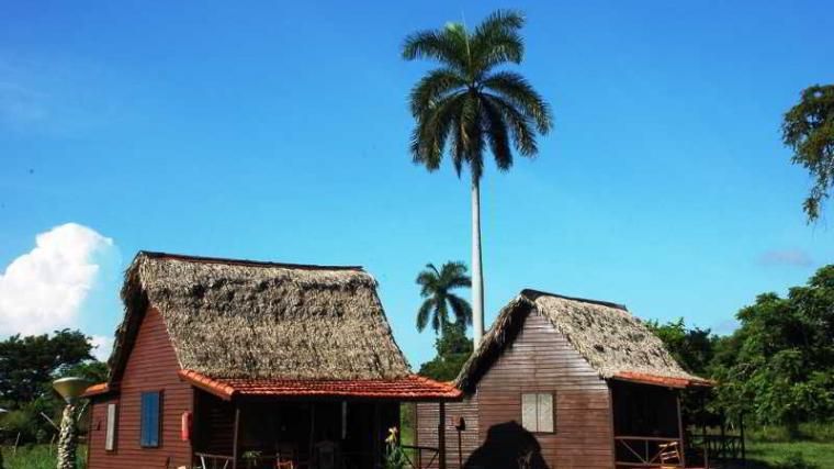 BATEY DON PEDRO — фото 3