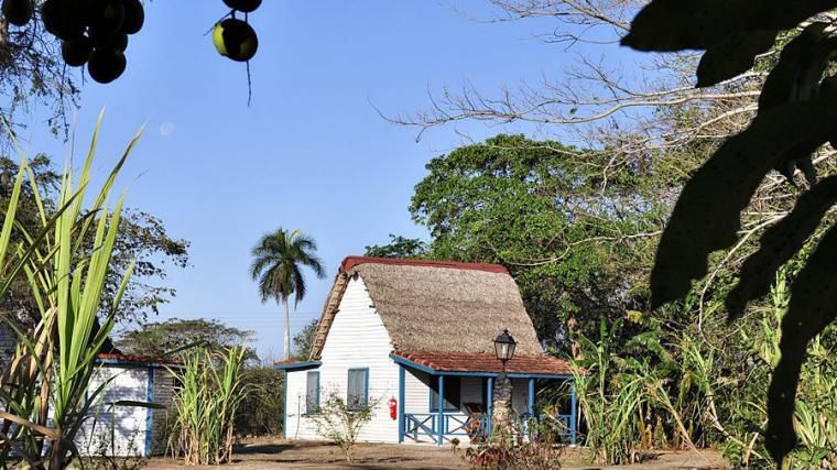 BATEY DON PEDRO — фото 10