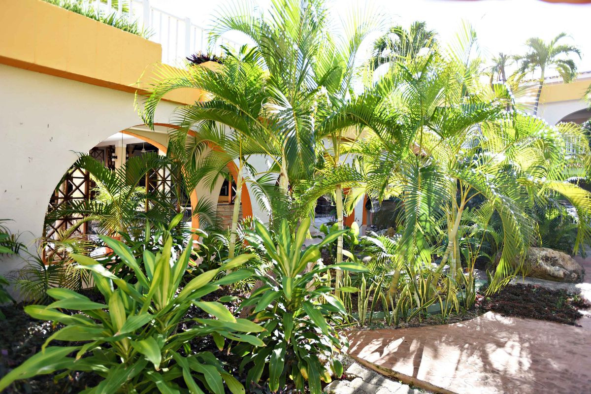 STARFISH LAS PALMAS (EX. MERCURE) — фото 6