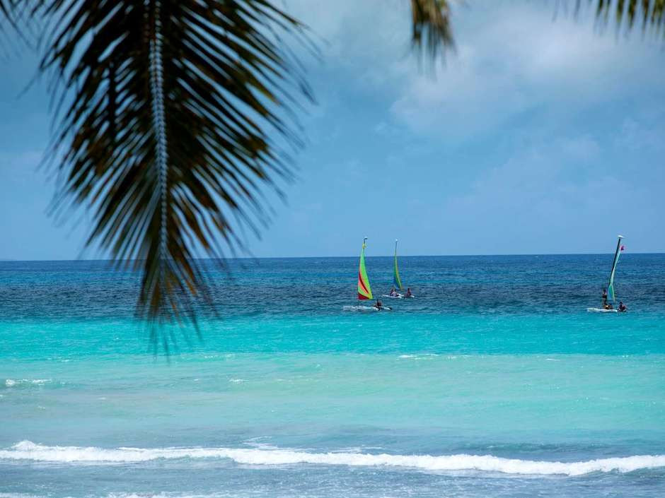VIVA WYNDHAM DOMINICUS BEACH — фото 12