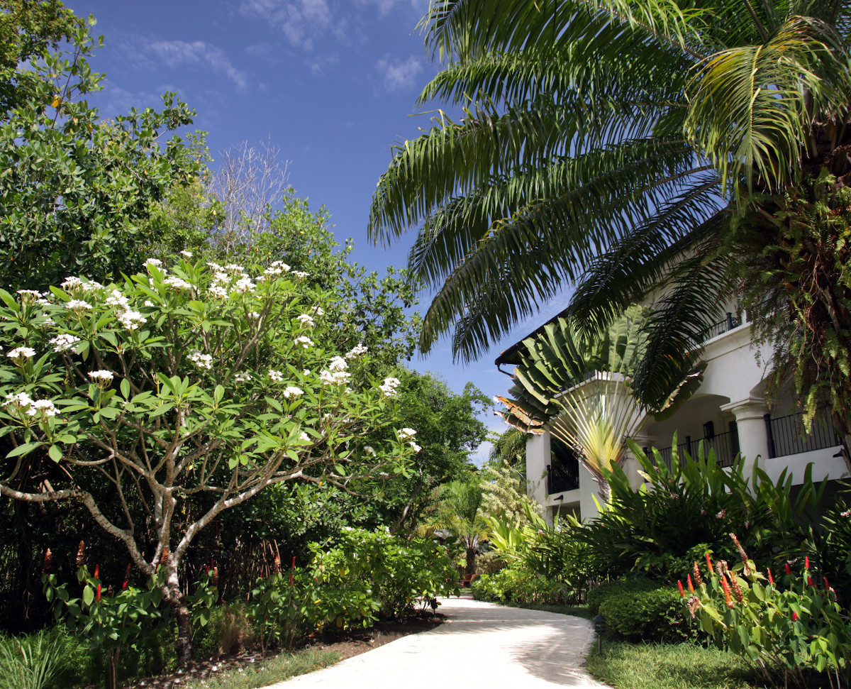 CASA COLONIAL BEACH & SPA — фото 7