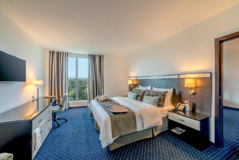 HODELPA GARDEN COURT HOTEL & WELLNESS PREMIUM SANTIAGO — фото 11