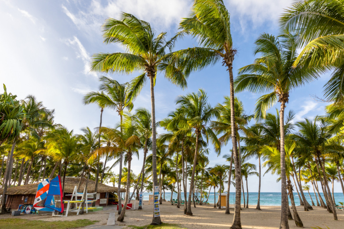 PLAYABACHATA RESORT (EX. RIU MERENGUE) — фото 6