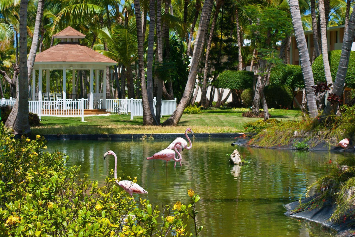 CATALONIA BAVARO BEACH GOLF & CASINO RESORT — фото 8