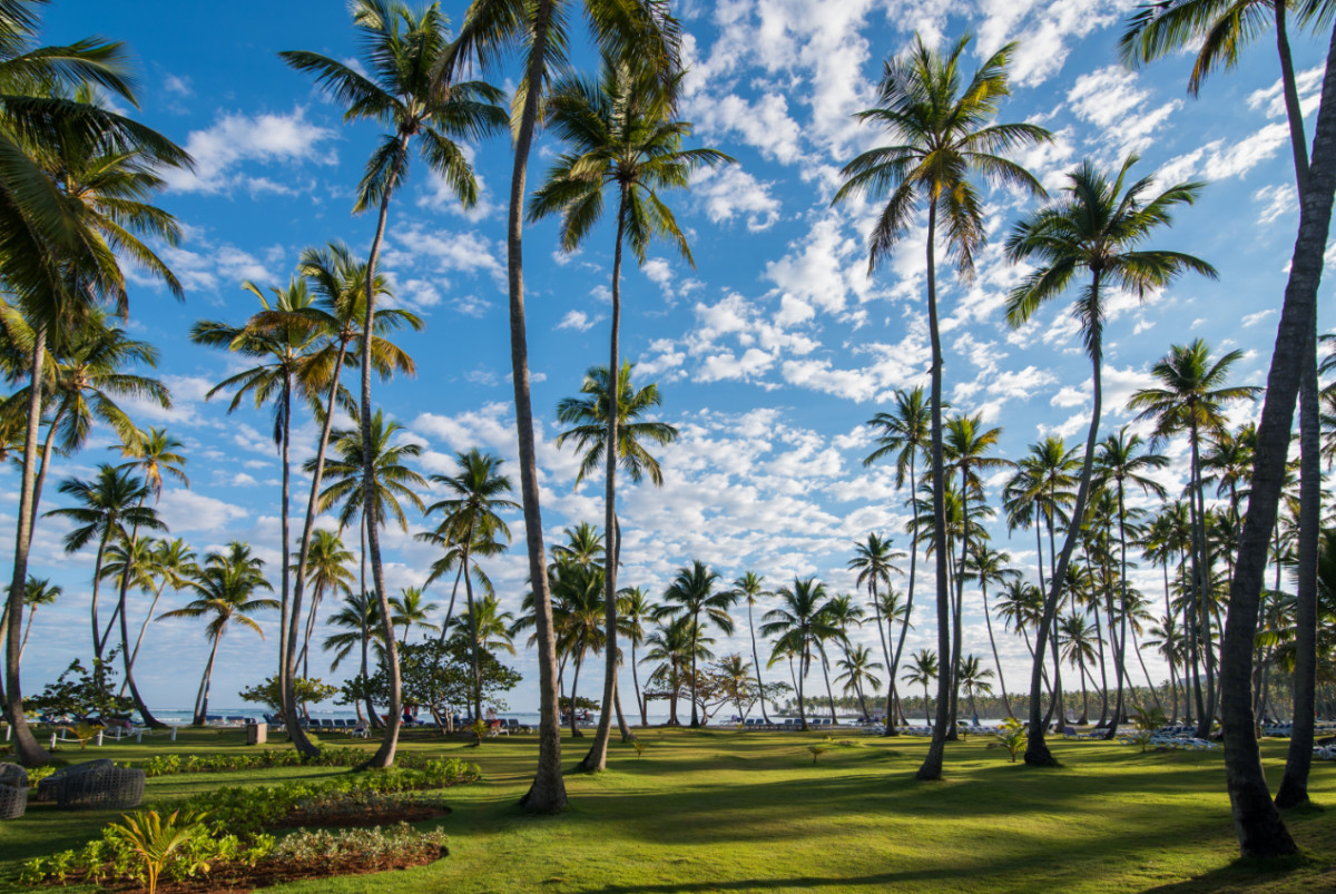 GRAND PARADISE SAMANA — фото 2