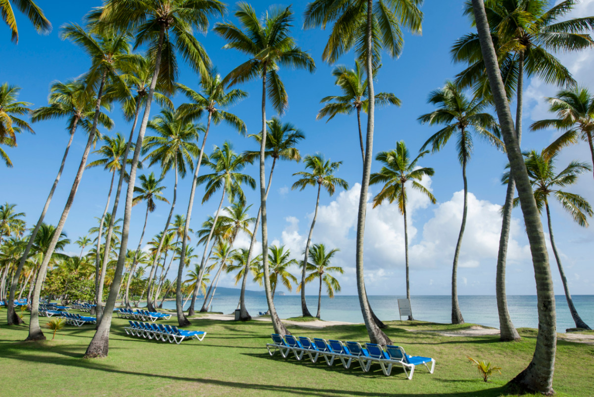 GRAND PARADISE SAMANA — фото 3