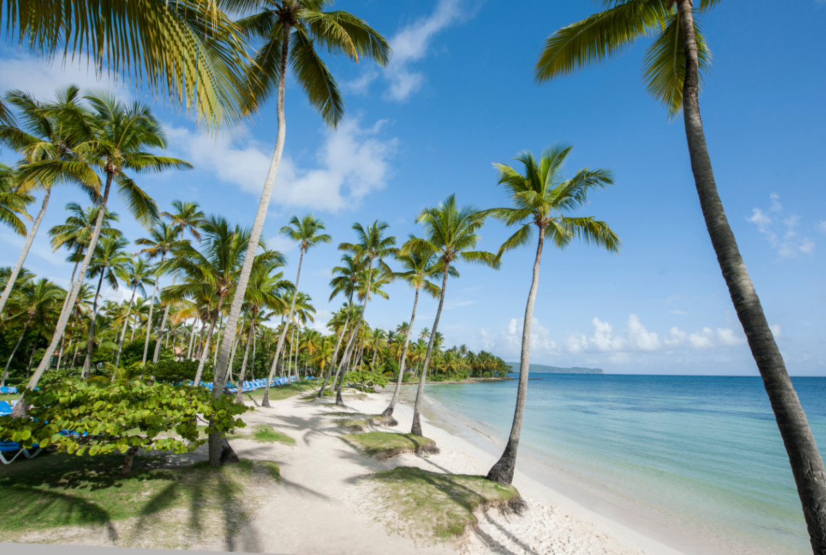 GRAND PARADISE SAMANA — фото 4
