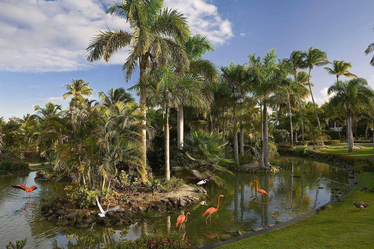 MELIA CARIBE BEACH RESORT (EX. MELIA CARIBE TROPICAL) — фото 5