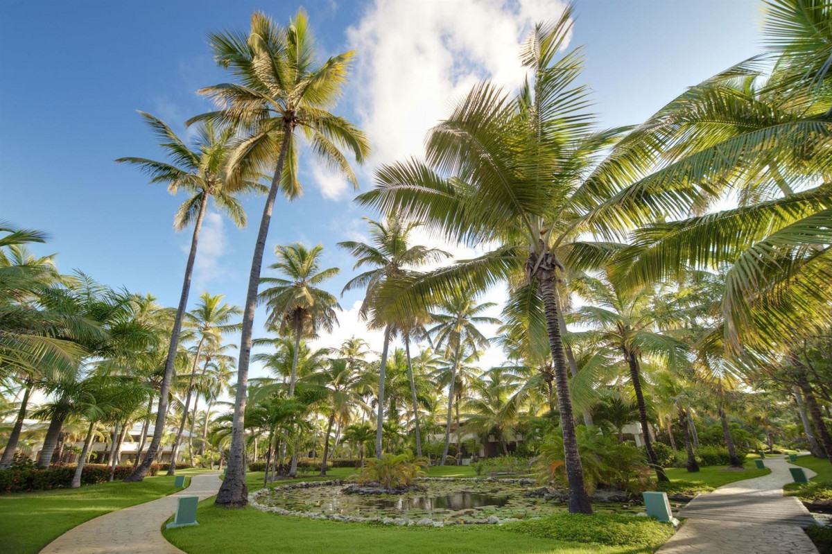 MELIA CARIBE BEACH RESORT (EX. MELIA CARIBE TROPICAL) — фото 6