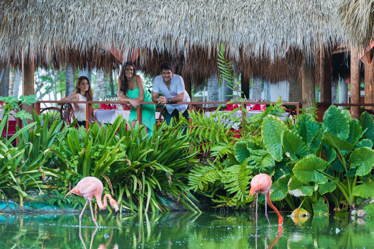 NATURA PARK BEACH ECO RESORT & SPA — фото 7