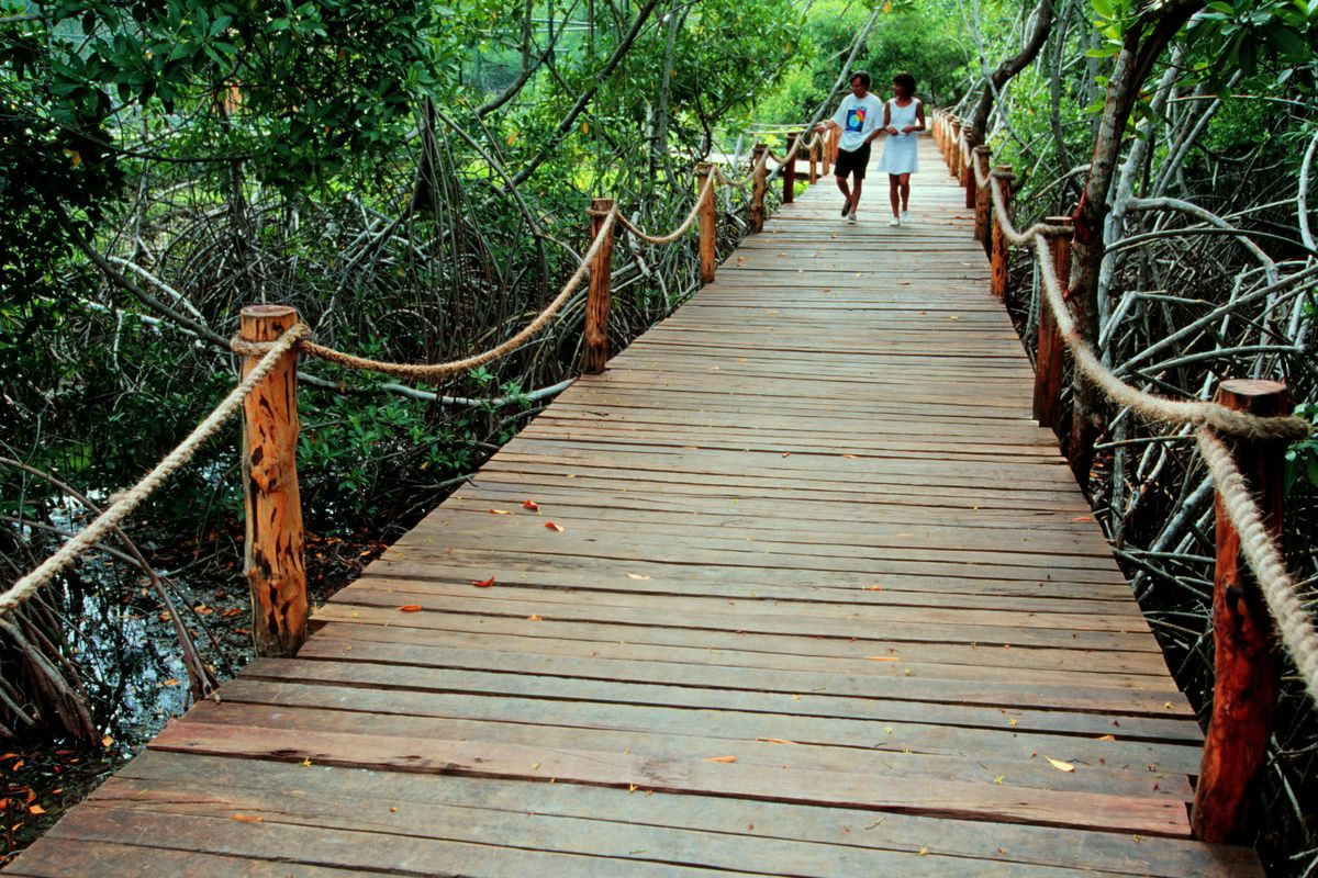 NATURA PARK BEACH ECO RESORT & SPA — фото 8