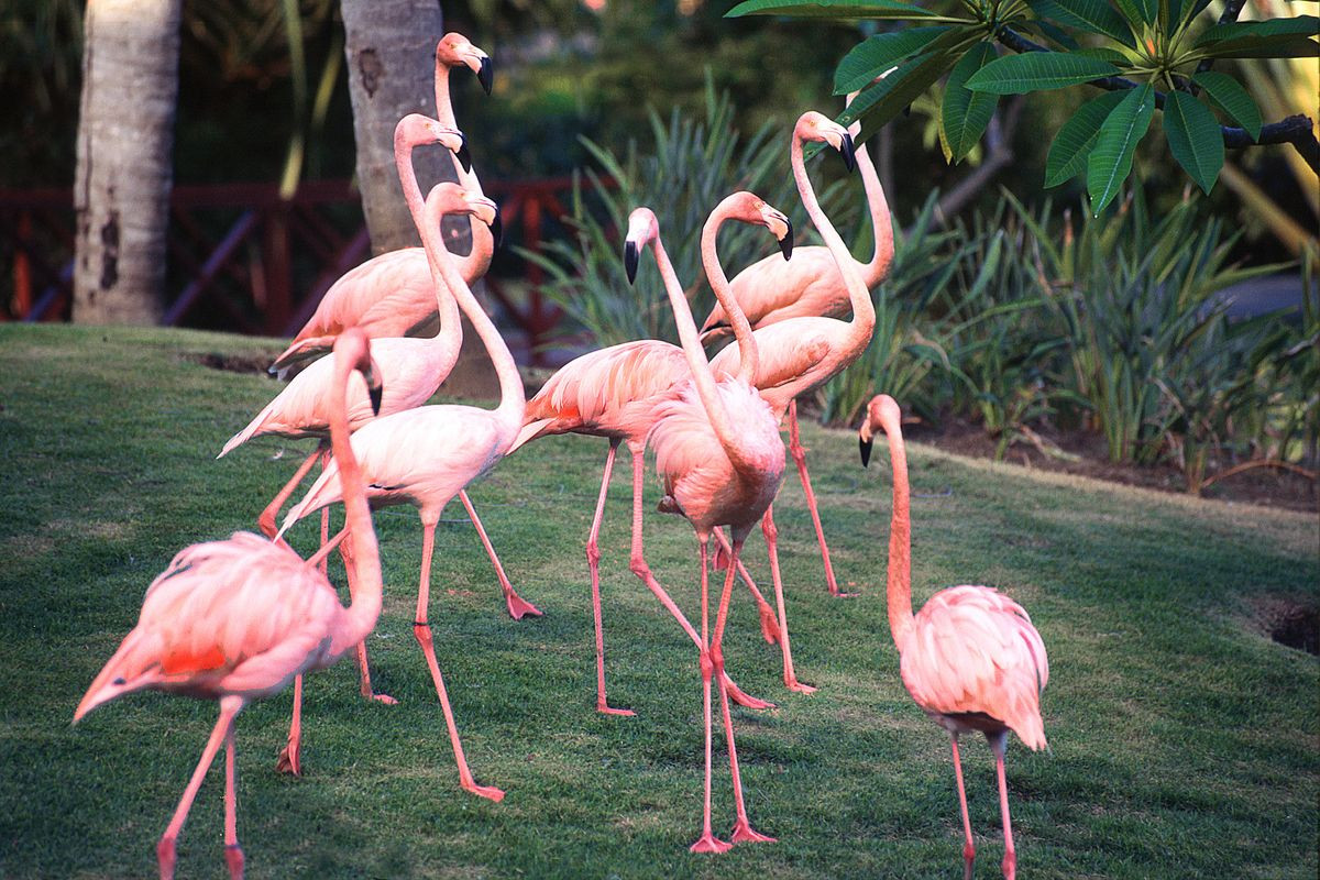 NATURA PARK BEACH ECO RESORT & SPA — фото 14