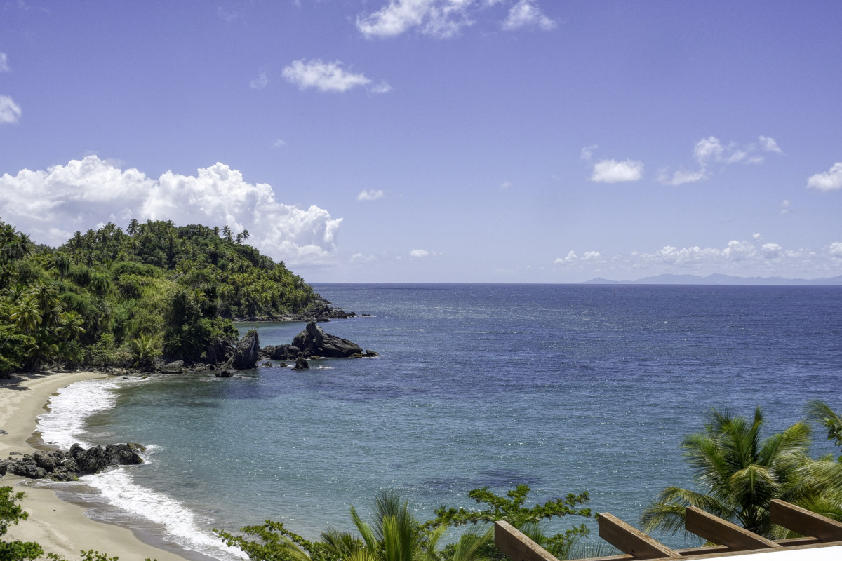 XELITER VISTA MARE SAMANA — фото 10