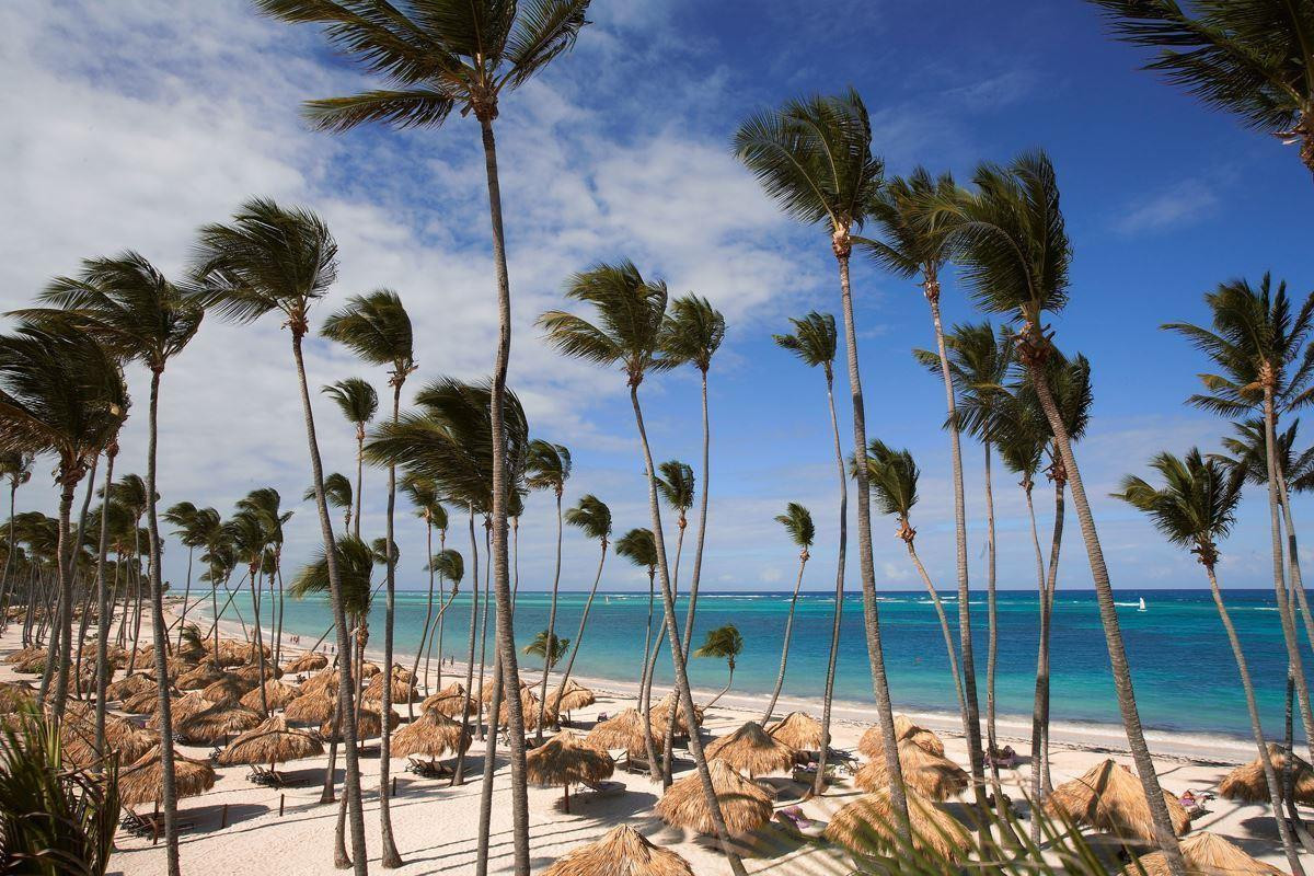 ZEL PUNTA CANA (EX. GARDEN SUITES BY MELIA) — фото 3