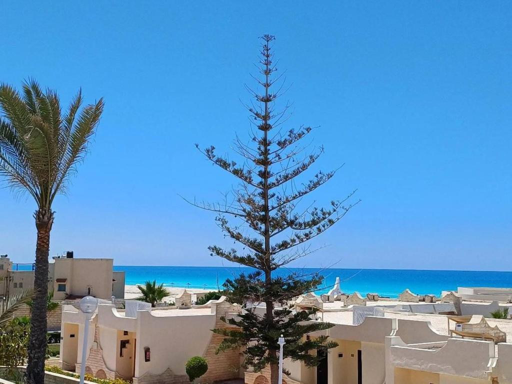 BORG EL ARAB — фото 13