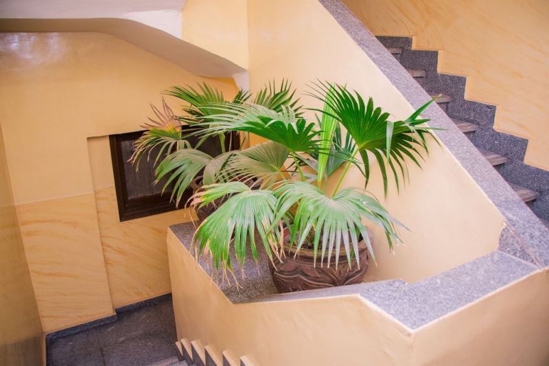 GUARDIAN GUEST HOUSE — фото 13