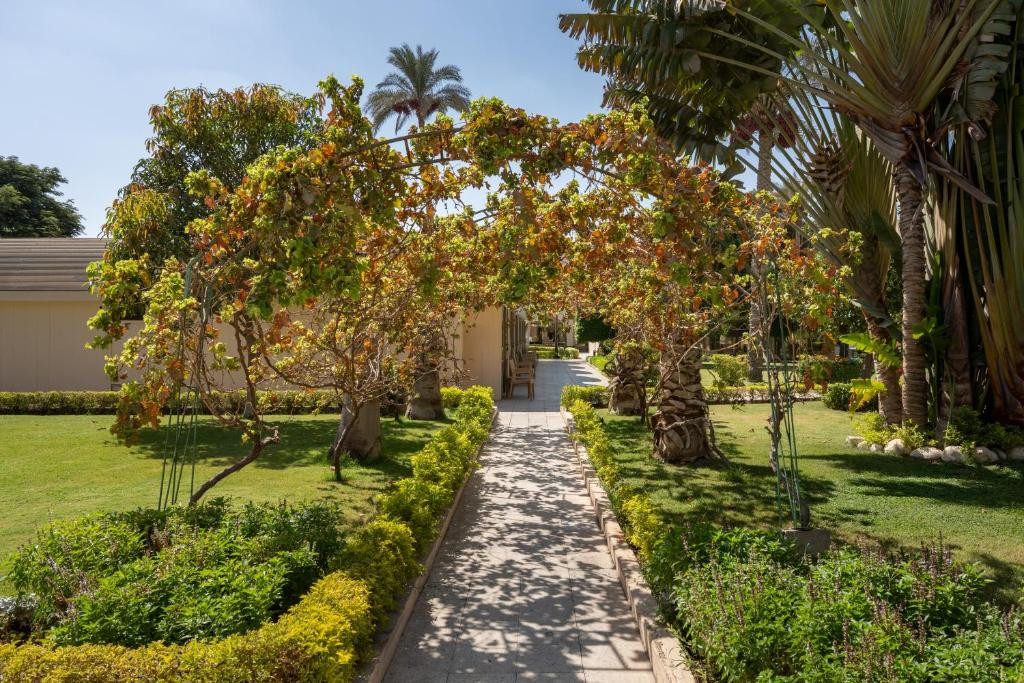 JAZ PYRAMIDS RESORT (EX. THE OASIS) — фото 8