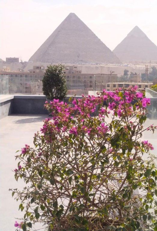 PYRAMID FRONT HOTEL — фото 8