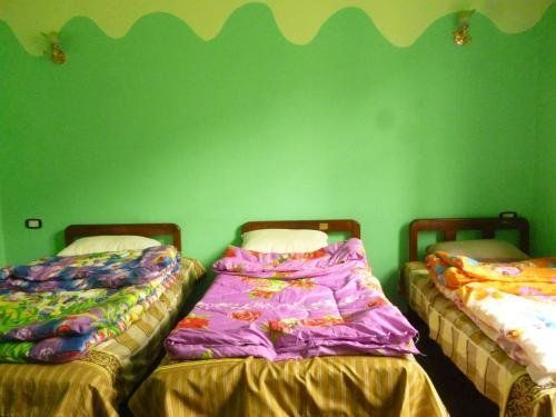 SAFARY HOTEL — фото 11