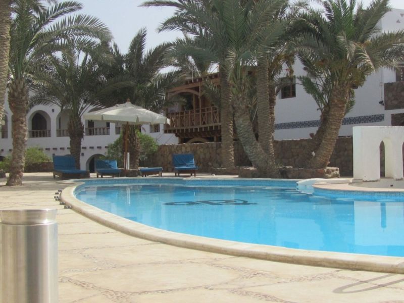 DAHAB DIVERS — фото 16