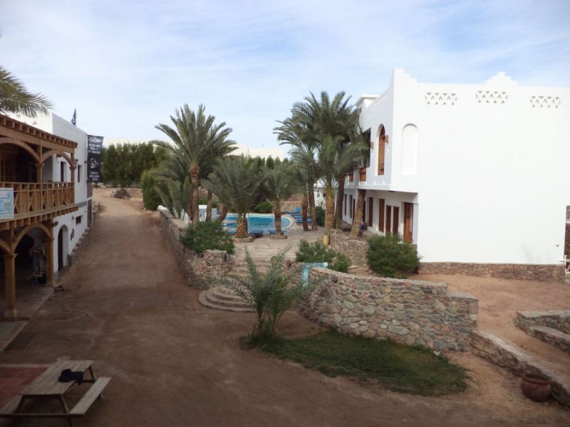 DAHAB DIVERS — фото 17