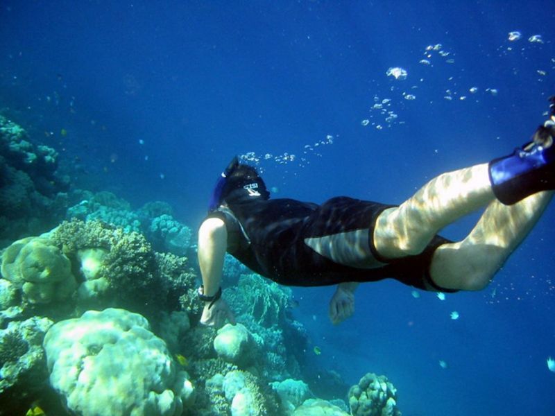 RED SEA RELAX — фото 12