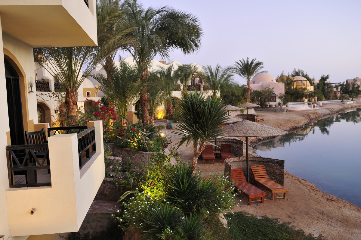 DAWAR EL OMDA ADULTS ONLY — фото 7