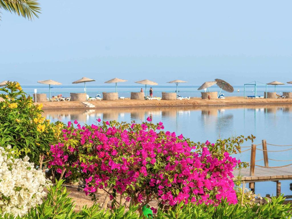 MOVENPICK RESORT & SPA EL GOUNA — фото 15