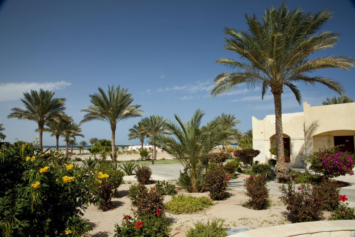 CORAL BEACH HOTEL  HURGHADA (EX. CORAL BEACH ROTANA RESORT) — фото 7