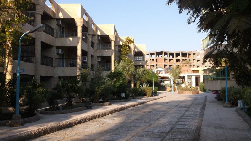 HOR PALACE — фото 12