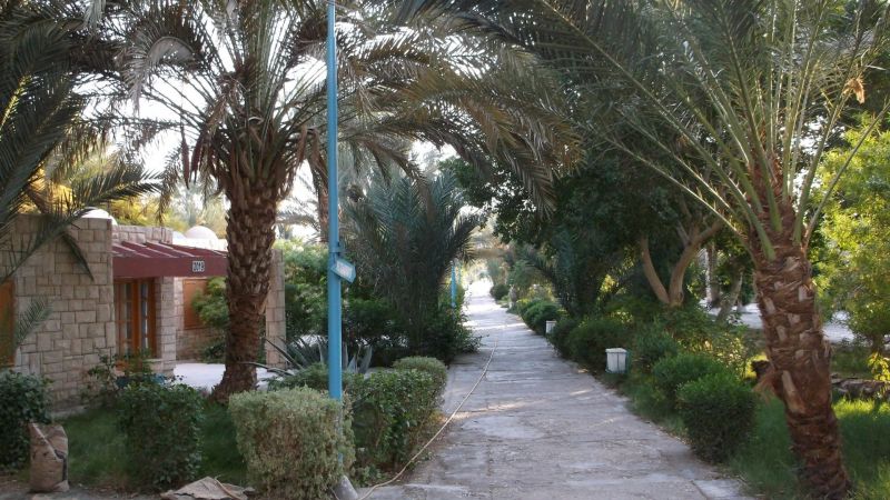 HOR PALACE — фото 13