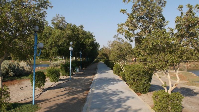 HOR PALACE — фото 14