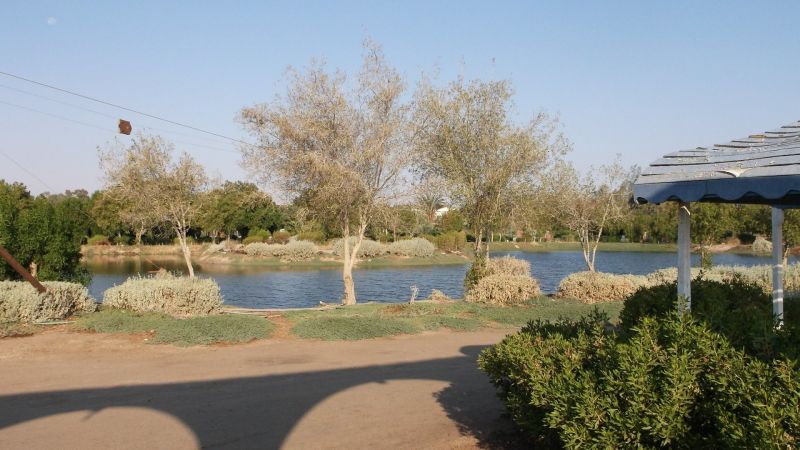 HOR PALACE — фото 15