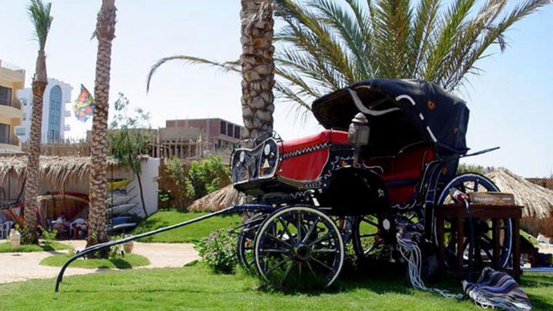 MOJITO MOON VALLEY RESORT (EX. GRAND SOLEI MOON VALLEY) — фото 18