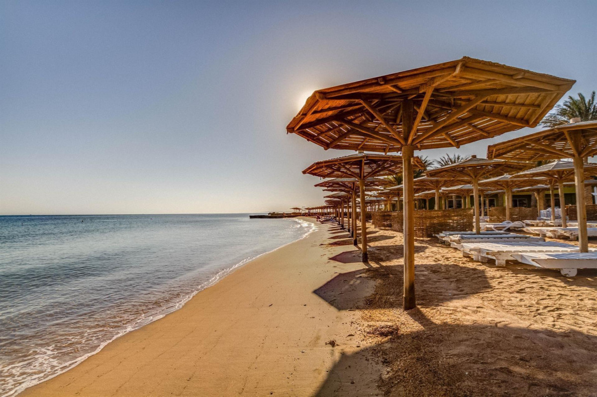 PALM BEACH RESORT — фото 7