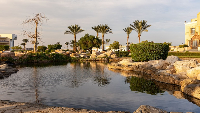 PALM ROYALE SOMA BAY (EX. SENTIDO PALM ROYALE) — фото 11