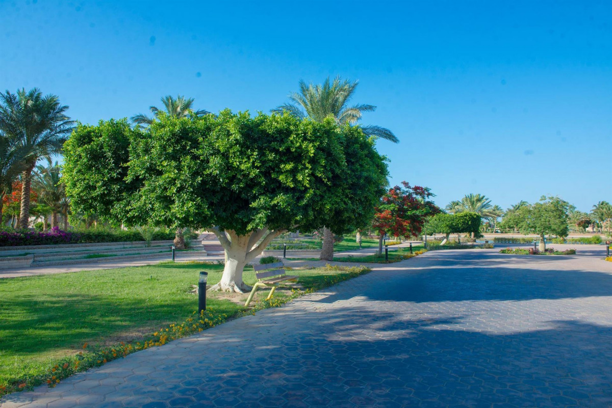 PHARAOH AZUR RESORT (EX. SONESTA PHARAOH)  — фото 5