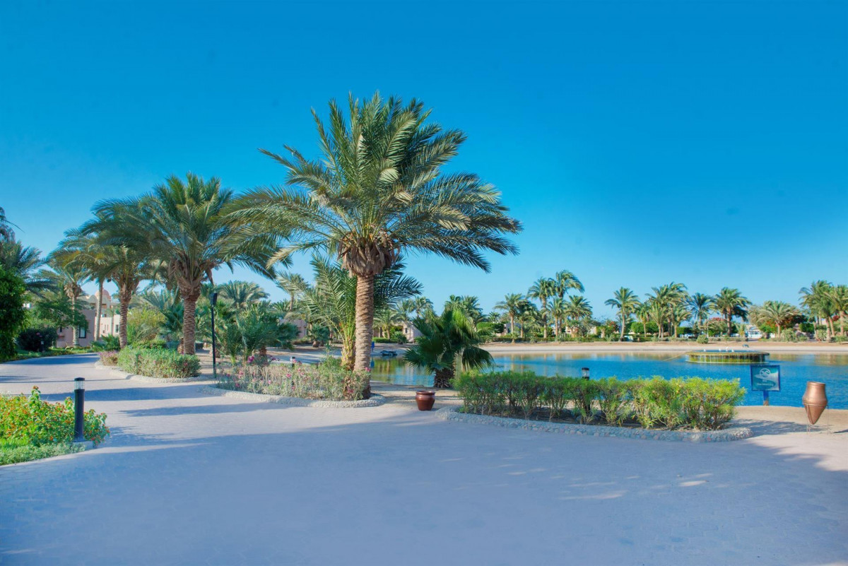 PHARAOH AZUR RESORT (EX. SONESTA PHARAOH)  — фото 6