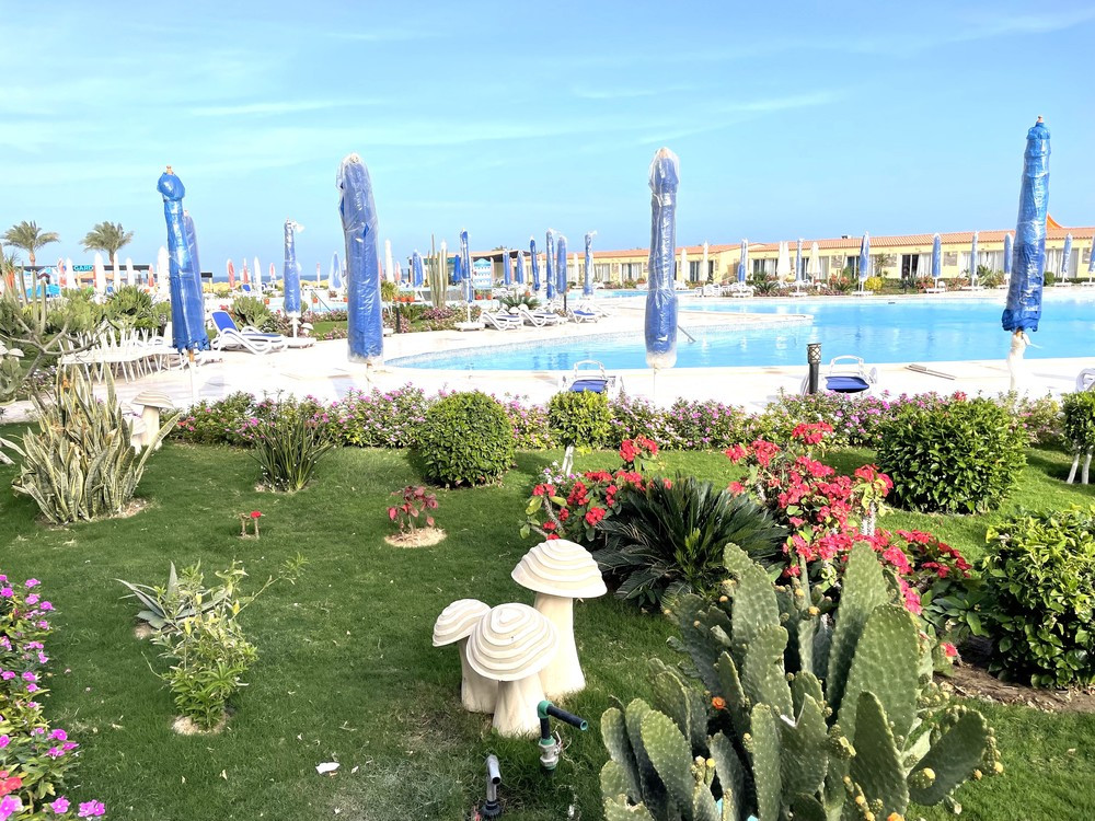 REWAYA LUXURY RESORT — фото 14