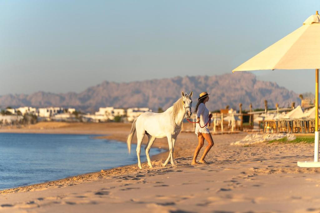 RIXOS PREMIUM MAGAWISH BAY VIEW — фото 5