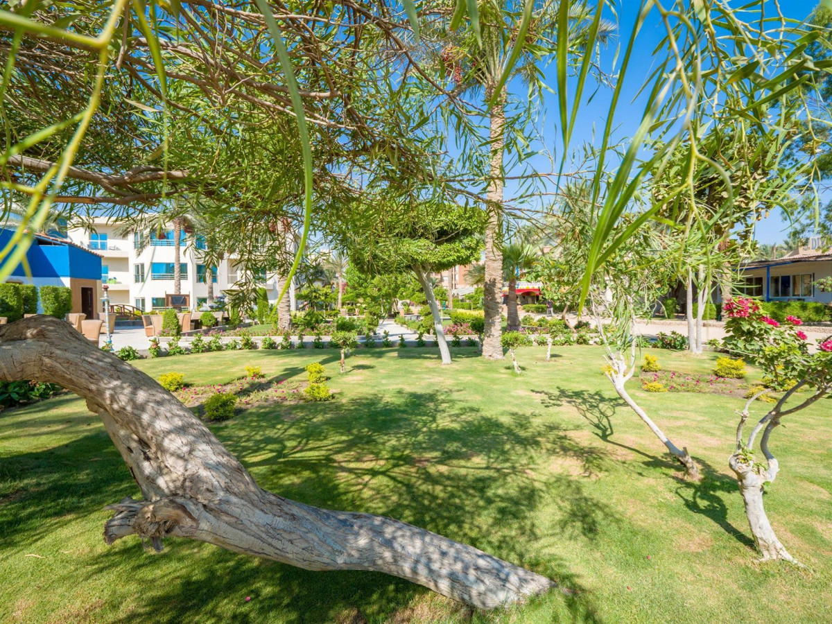 SEAGULL BEACH RESORT & CLUB — фото 7