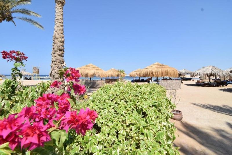 SHARM EL NAGA RESORT AND DIVING CENTER — фото 8